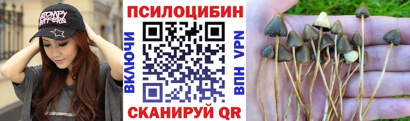 Псилоцибиновые грибы Magic Shrooms Поворино